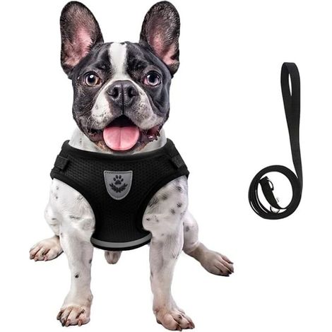 Corde de traction réglable harnais chien couleur noir taille XS