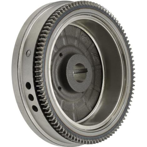 Volant BRIGGS & STRATTON 845489