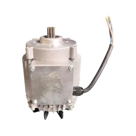 Motor Ersatzmotor Industriemotor 230V 50Hz 0,41kW für Kettenzüge (1/4)