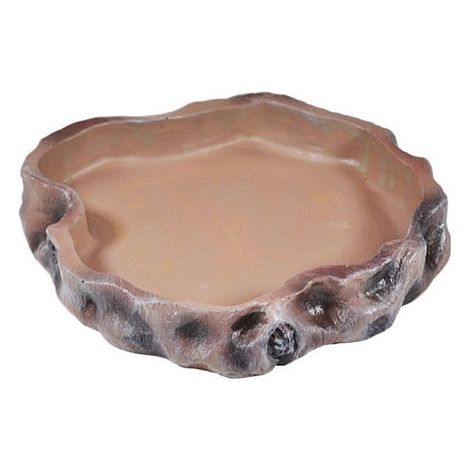 Mangeoire large pour terrarium, reptiles et lézards (1/2)
