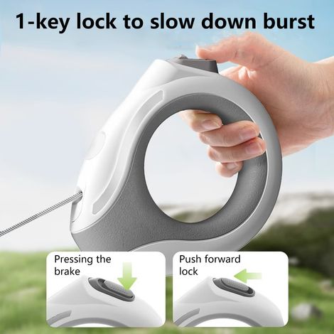 Laisse rétractable pour chien de 3 m Laisse rétractable pour petit chien avec câble USB-C et lampe rechargeable (1/5)