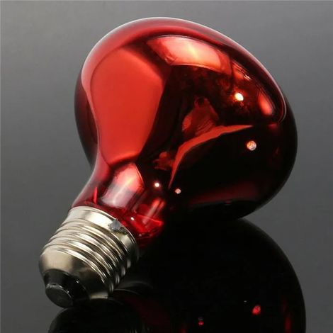 Kit Lampe Chauffante Reptile Ampoule Chauffante pour Tortue Lzard Poussin Serpent Hamster 150W Lot de 1 RougeE27 YYV (1/4)