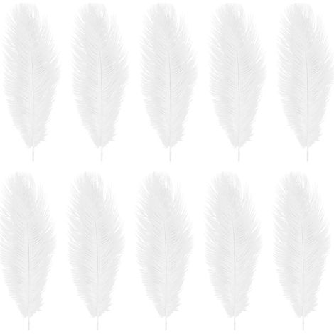 10 pièces Straussenfedern 12-14 pouces (30-35 cm) pour maison haute décoration bietet (blanc) (1/5)