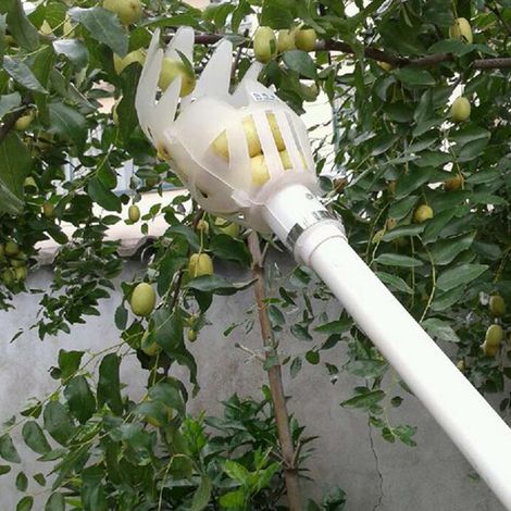 Apfelpflücker aus Kunststoff, Erntekopf, Obstpflückkorb, Obstsammler (1/5)