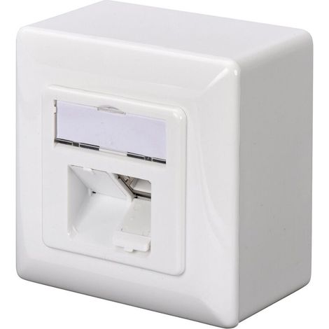 RJ45Dose Cat5e 2xRJ45 geschirmt Aufputz Signalweiß