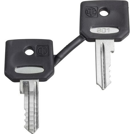 Schneider Electric ZBG421E ZBG421E Ersatzschlüssel     1 St.