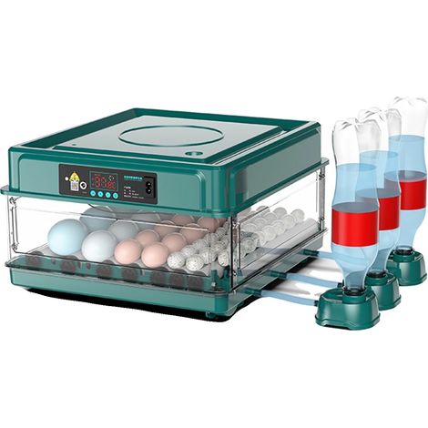 Incubadora de huevos, funcionamiento automático, doble alimentación, 36, L-a (1/2)