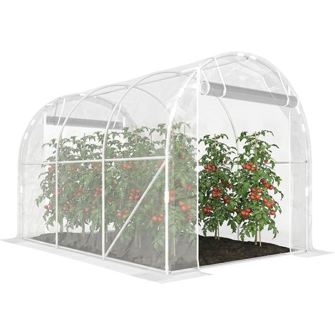 Polytunnel-Gewächshaus, begehbares Gewächshaus mit verzinktem Stahlrahmen und UV-beständiger PE-Abdeckung, transparent