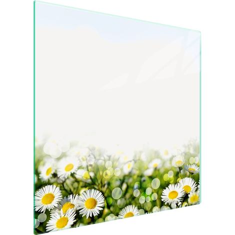 Protezione in vetro per piano cottura 50x52 cm con motivo floreale (1/5)