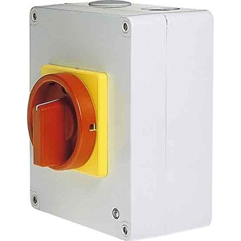 ELEKTRA TAILFINGEN INTERRUPTEUR PRINCIPALE DE SECOURS V2 N01/HS DE T24/2 DE D MRG ISOGEKAPSELT, N + PE KL CHARGE INTERRUPTEUR 40