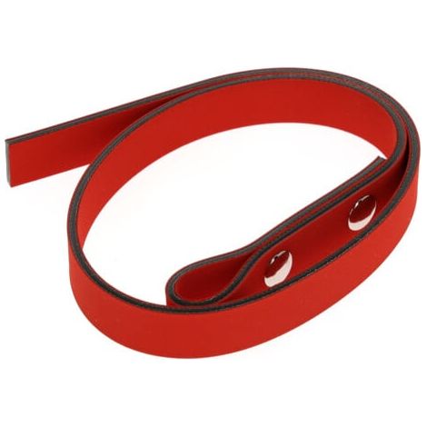 GEDORE RED 3301466 - Ruban de remplacement L.490mm f.Tape Wrench , R19991019 (1/5)