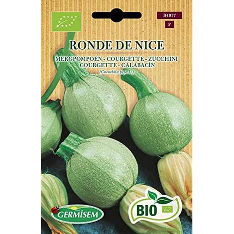 Graines Courgette RONDE DE NICE (1/2)