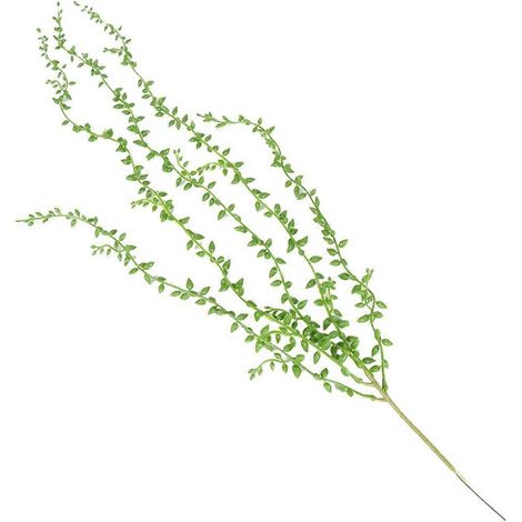 Plantes succulentes artificielles suspendues, guirlande de perles, vigne artificielle en plastique (1/4)