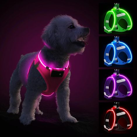 Harnais Lumineux Rechargeable LED pour Chien, Clignotant Réfléchissant Confortable, Petit Moyen Chiot, Rose-M (1/5)