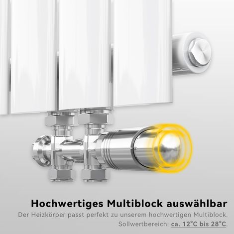 SONNI Heizkörper Multiblock Ventil Anschlussgarnitur Heizungszubehör Thermostat Chrom (1/5)