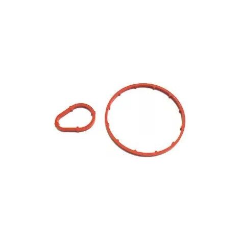 Dichtungssatz für Vakuumpumpe 4556.16 4556.18 1327236 1327238 459941 (1/4)