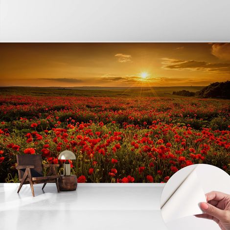 Fotomurale adesivo stickers - per camera da letto - per corridoio - decorazione casa moderna Campo di papaveri 416x254 cm (1/5)
