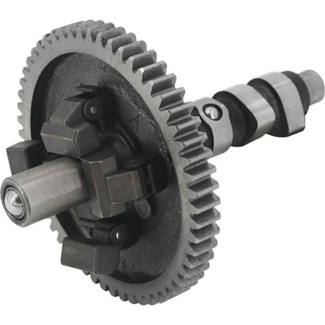 ALBERO A CAMMES BRIGGS &amp STRATTON - 845649