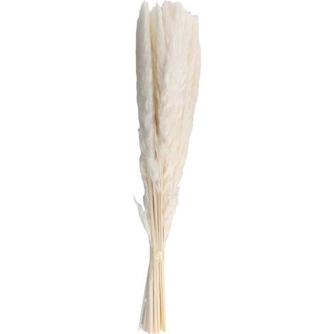 40 brins d'herbe de la pampa blanche séchée naturelle de 45 cm, duveteuse et retombante, idéale pour la décoration de compositions florales bohèmes de mariage. (1/5)