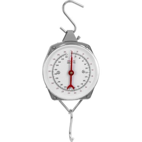 ALLIANDISBalance Suspendue avec Crochet pour Valise, Gris, Capacité 200 kg (1/4)