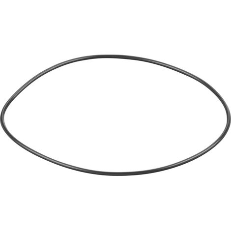 Rems O-Ring 060301