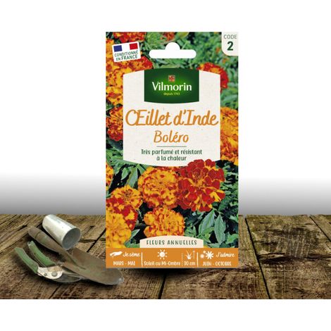 Graines d'Oeillet d'Inde Bolero - Vilmorin/Sachet