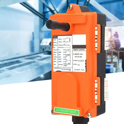 Palan industriel télécommandé haute sensibilité, un récepteur + un émetteur, grue IP65 (1/5)