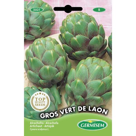 graines Artichaut GROS VERT DE LAON