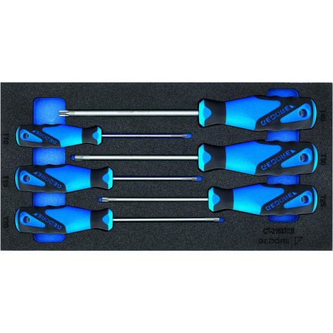 1500 CT1-2163 TXB Schraubendreher in Check-Tool-Modul (1/3)