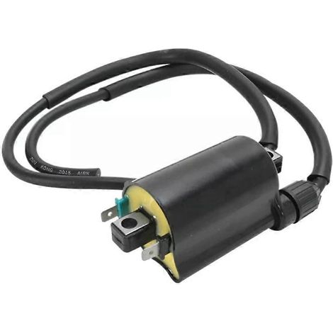 Bobines d'allumage haute tension pour motos compatibles avec CB1000 : 30510-MM8-003 30701-MF5-000 (1/5)