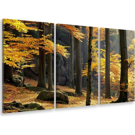 Tableau triptyque Tableau photo fontainebleau en automne - 90x60 cm (1/5)