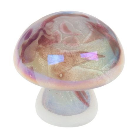 Amadeus - Champignon blanc prune Sulfure