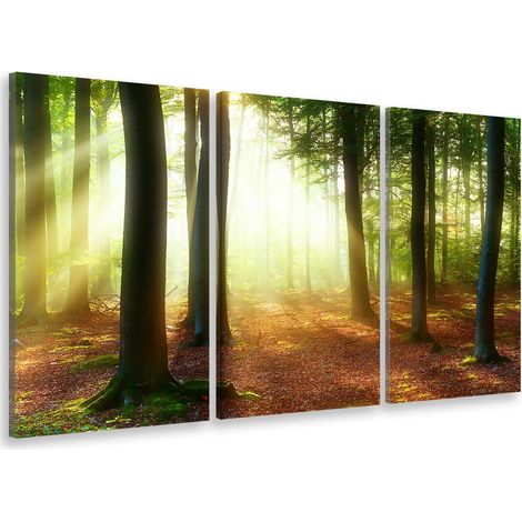 Tableau triptyque paysage raie de lumière en forêt - 90x60 cm (1/5)