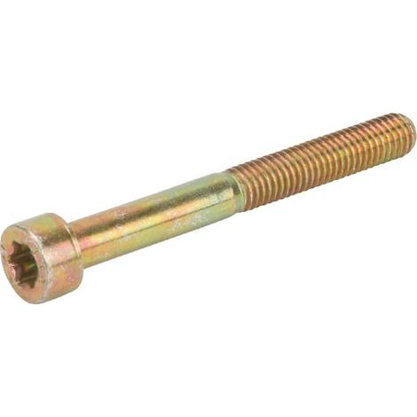 Tornillo M5x45 ALPINA ALP2135110