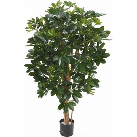 Superbe schefflera artificiel en pot multitroncs vert H 110 cm Vert - dimhaut: H 110 cm - couleur: Vert