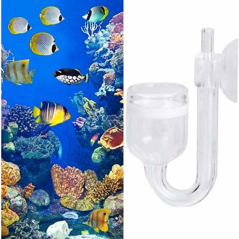 Green Mobility-Diffuseur datomiseur de CO2, raffineur aquarium de Fabrication Professionnelle en Verre (1/5)