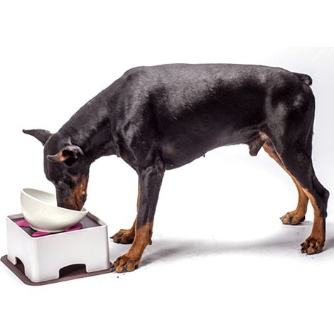 Table d'alimentation réglable en plastique pour petits chiens et chats avec tapis antidérapant en silicone (petite taille) (1/5)