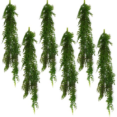 6 x 100cm Hanging String of Pearls Fern Plant Dark Green (1/5)