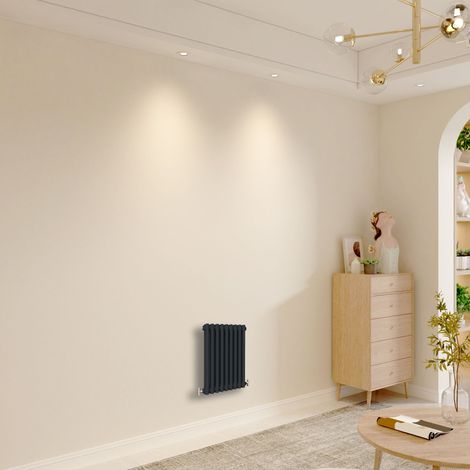 Biubiubath Traditional Cast Iron Style Radiator Horizontal 2 Column Black 600x425mm