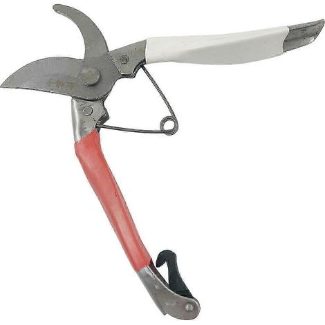 Sécateur, cisaille à fleurs pour la taille des branches de jardin (1/5)