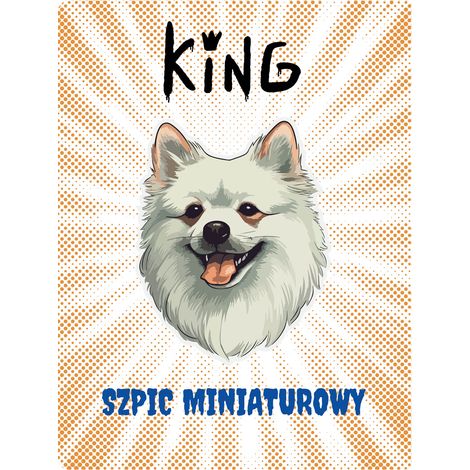 Targa formato King Size - 20x28 cm