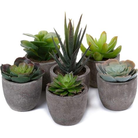 Ensemble de 6 plantes artificielles d'intérieur, comprenant des plantes artificielles décoratives en pot, des petites plantes succulentes artificielles vertes et des mini-plantes artificielles. (1/5)