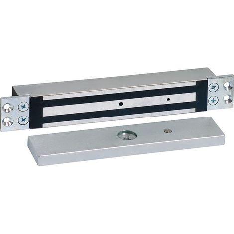 Sewosy EF30035ENCCTCCA Edelstahl Einbau-Elektromagnet-Saugnapf 300 kg 12/24 V