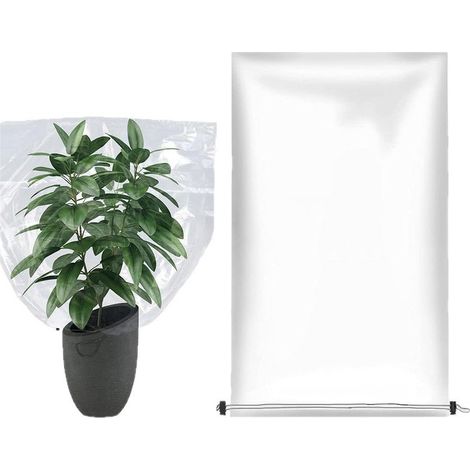 Grande housse de protection hivernale transparente 120x180cm en PE, couverture anti-gel pour serres jeunes arbres et grands plants (1/5)
