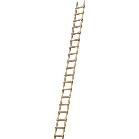 Echelle de toit en bois - Ecartement des barreaux 25cm - Longueur 6.00m - B3160025