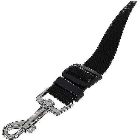 Chien de compagnie de haute qualité, 15 mètres (50 pieds), dressé à la marche en laisse (Mygb). (1/2)
