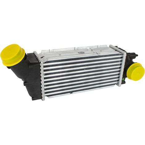Citroen C4 04-11 1.6 HDi / 2.0 HDi Ladeluftkühler