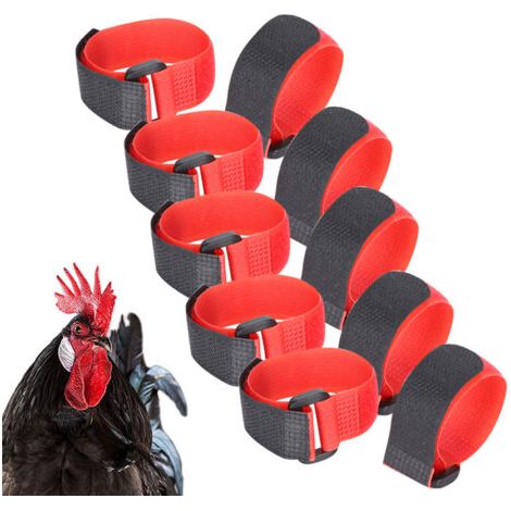 10 pièces Collier de Coq pour arrêter de Chanter Collier en Nylon Anti-Crochet Collier de Sangle de Cou Bruit Rouge Collier de Poulet pour Animaux de Compagnie (1/5)