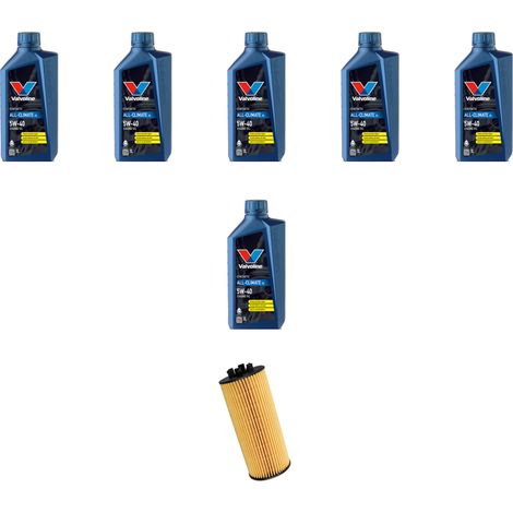 Kit filtro olio e 6L compatibile con Bmw x3 (E83) 2.0d 120kw dal 2008 al 2010 (1/5)