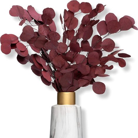 Eucalyptus - Fleurs Séchées Naturelles - Décoration Intérieure Durable - Bouquet Unique - 1 Pièce (1/5)